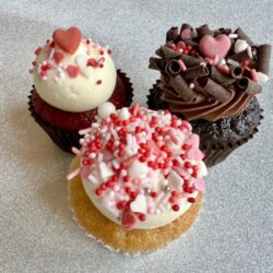 Valentine's Day Minis